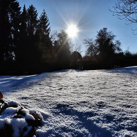 Semesterbostad Cozy In Durbuy With Garden